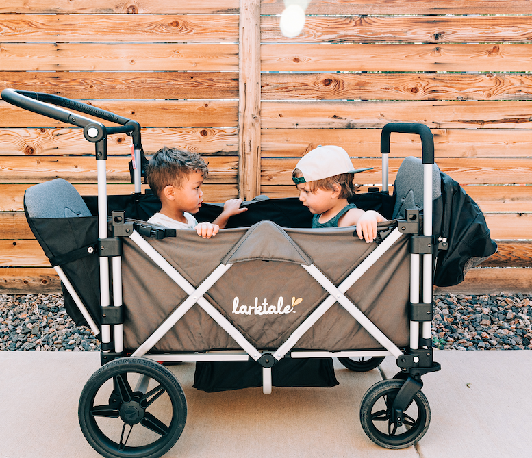 double stroller or wagon? 