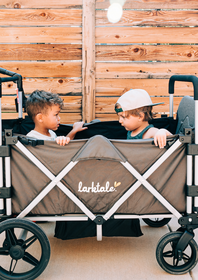 double stroller or wagon? 