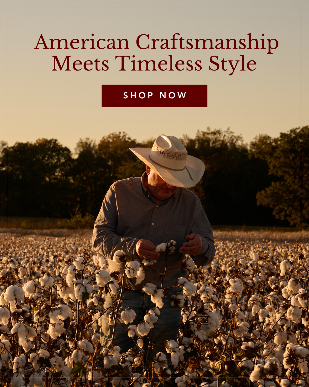 A man wearing a cowboy hat inspects a cotton boll while standing in a field of cotton at sunset.