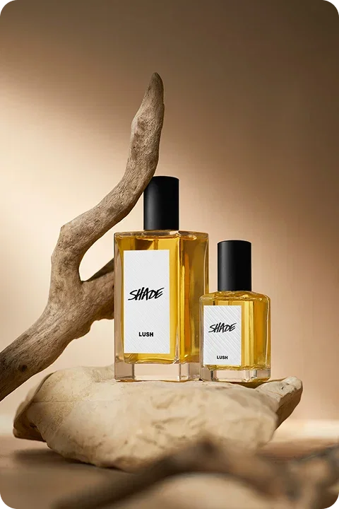 Shade Perfume