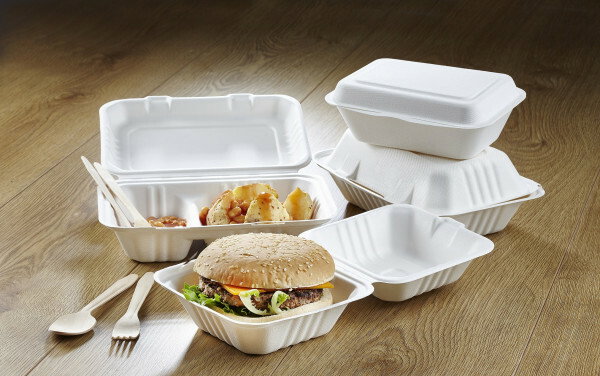 5fb24776c7dc6e6f7e78a28c_page_7_bagasse