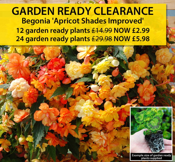 Garden Ready Clearance