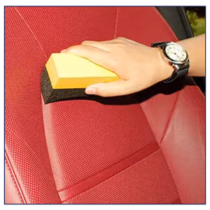 Car Sponges, Set of 10