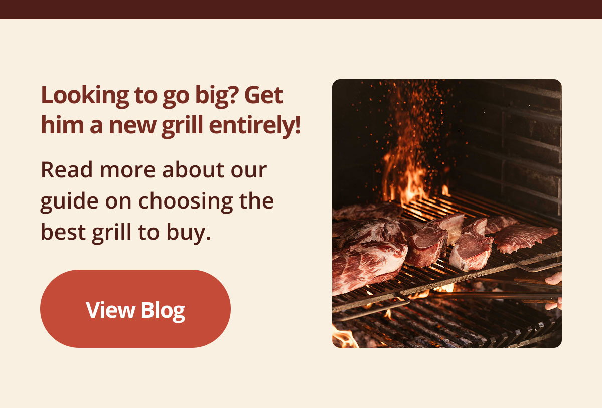 Looking to go big? Get him a new grill entirely!  Read more about our guide on choosing the best grill to buy.