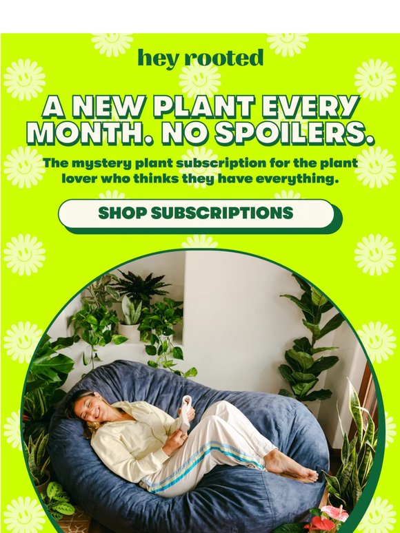 A Monthly Mystery Plant? Say Less 🌿 🔮