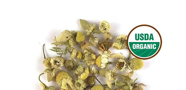 Chamomile Organic