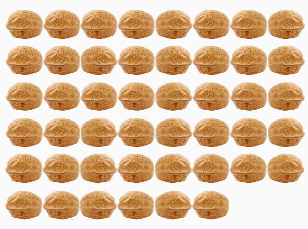 47 English Walnuts