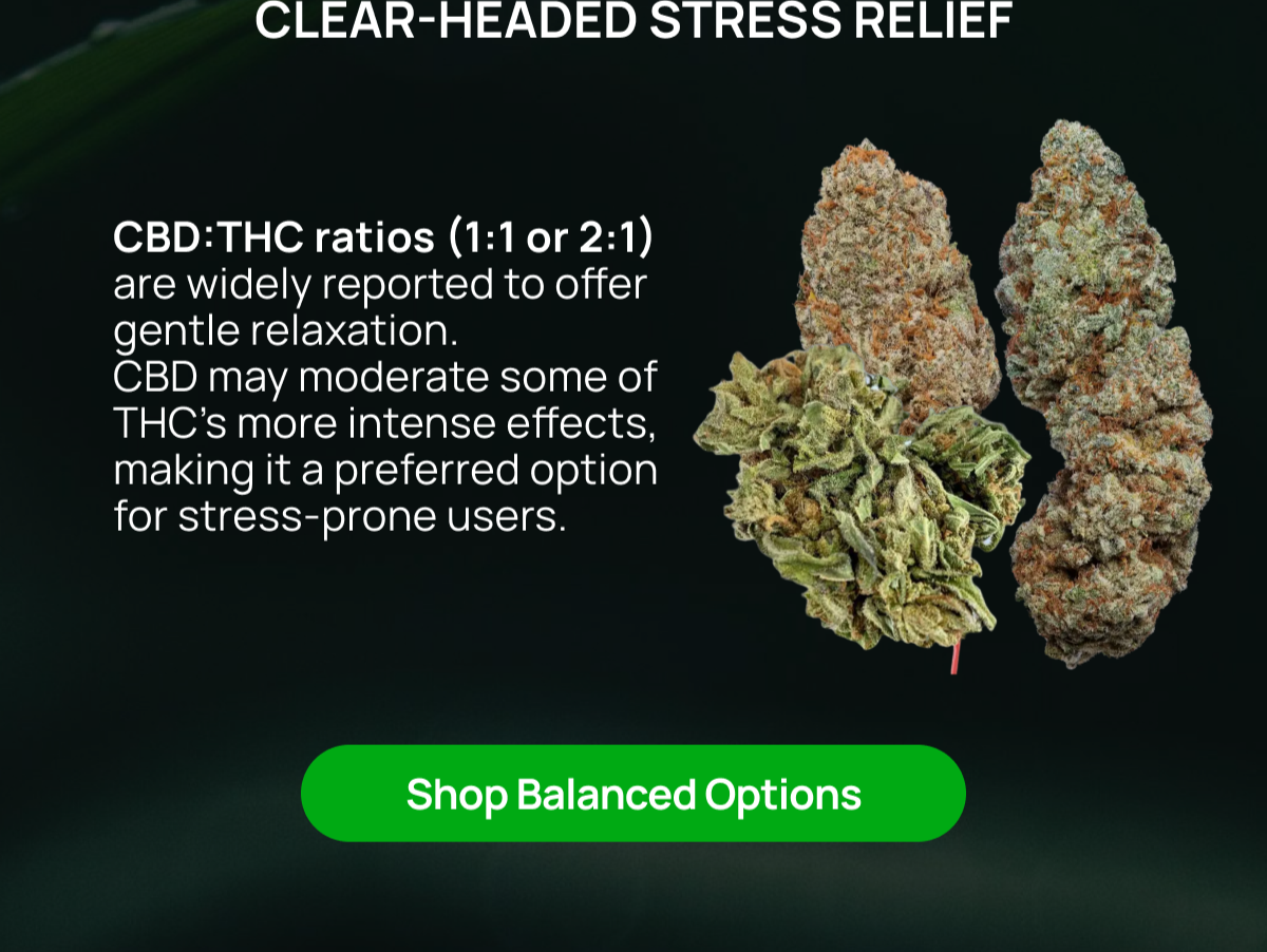 Shop Balanced Options