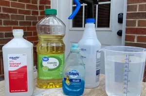 The secret to a lush summer garden? Mix dish soap, rubbing alcohol, and oil