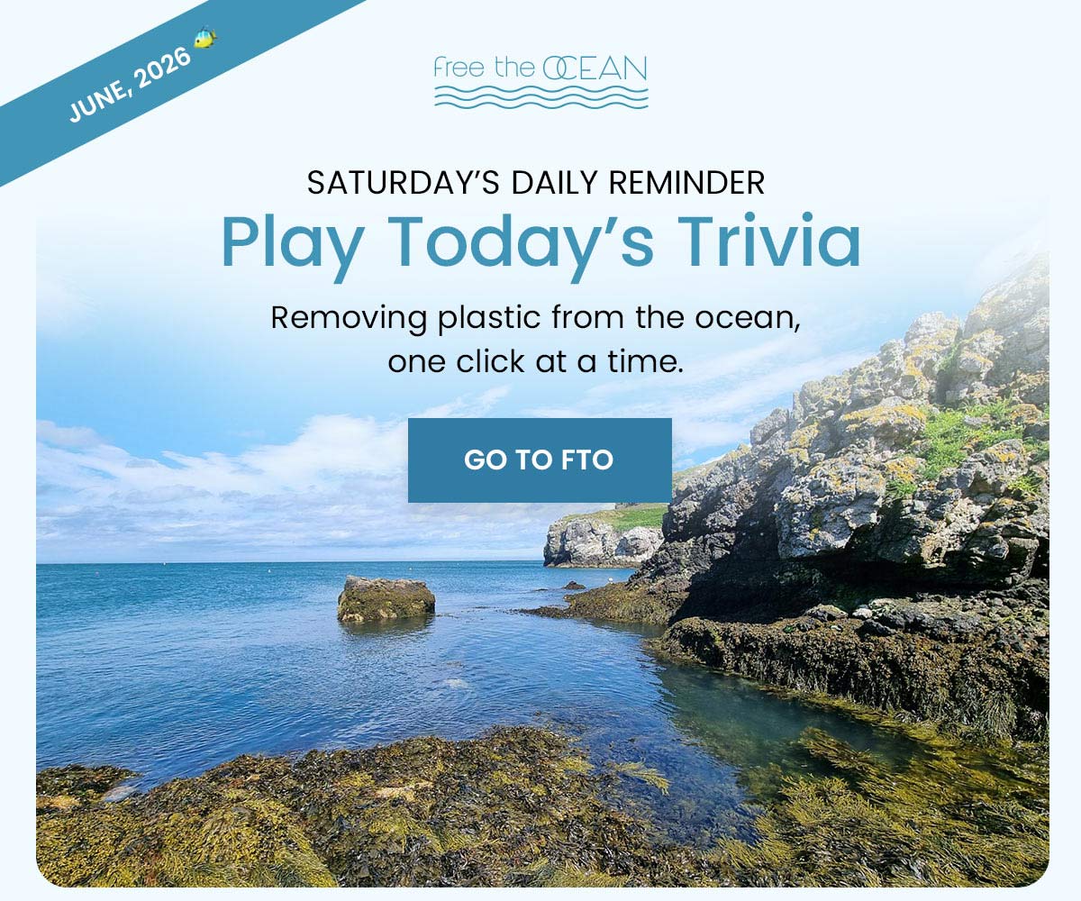 Removing plastic from the ocean, one click at a time