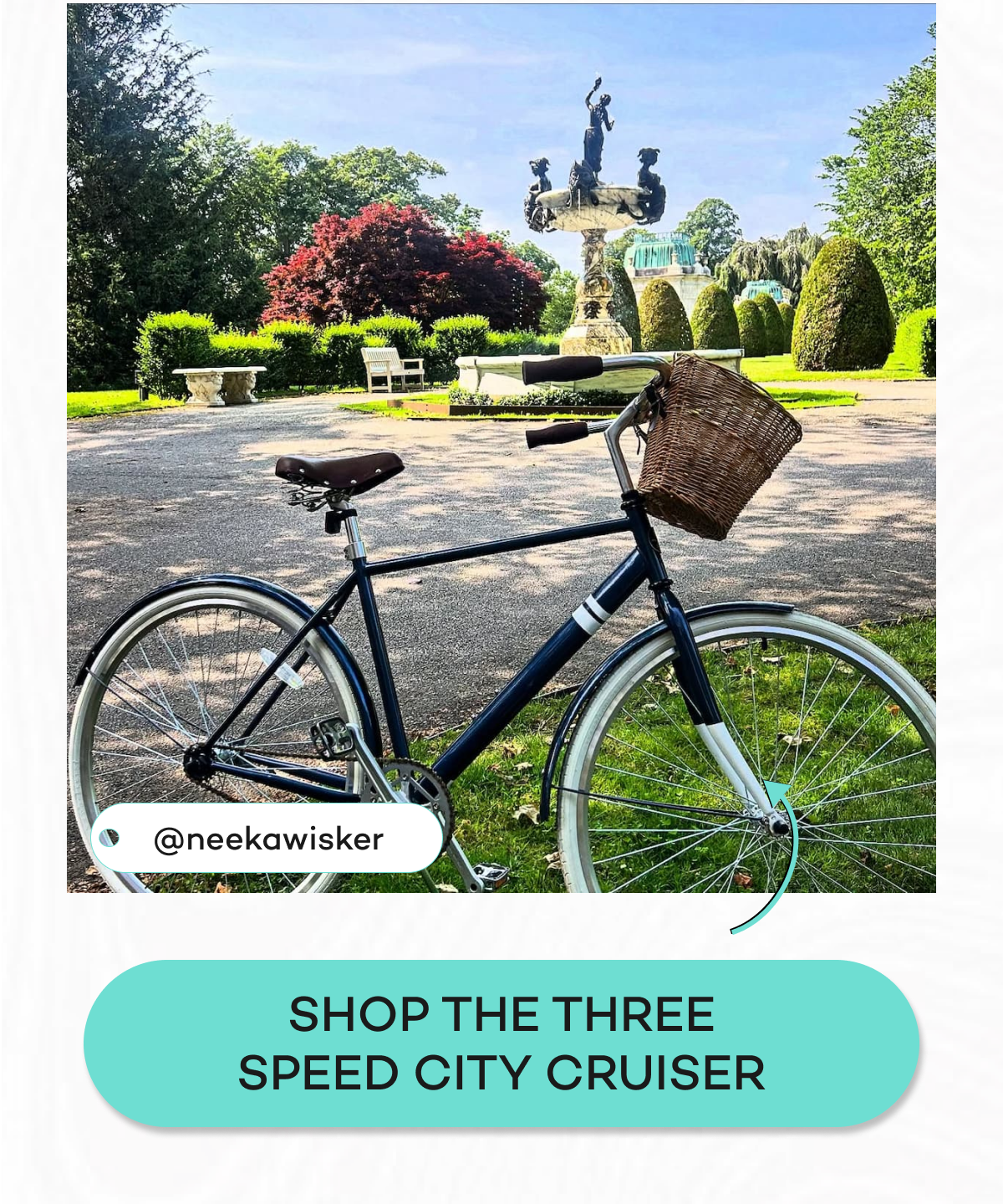 Shop the three speed city cruiser