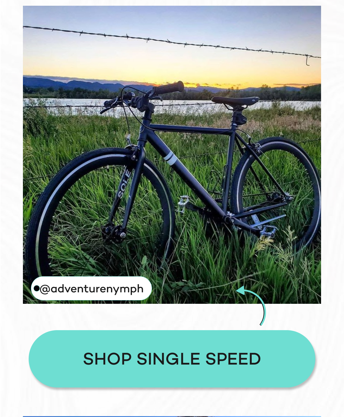 Shop Single Speed