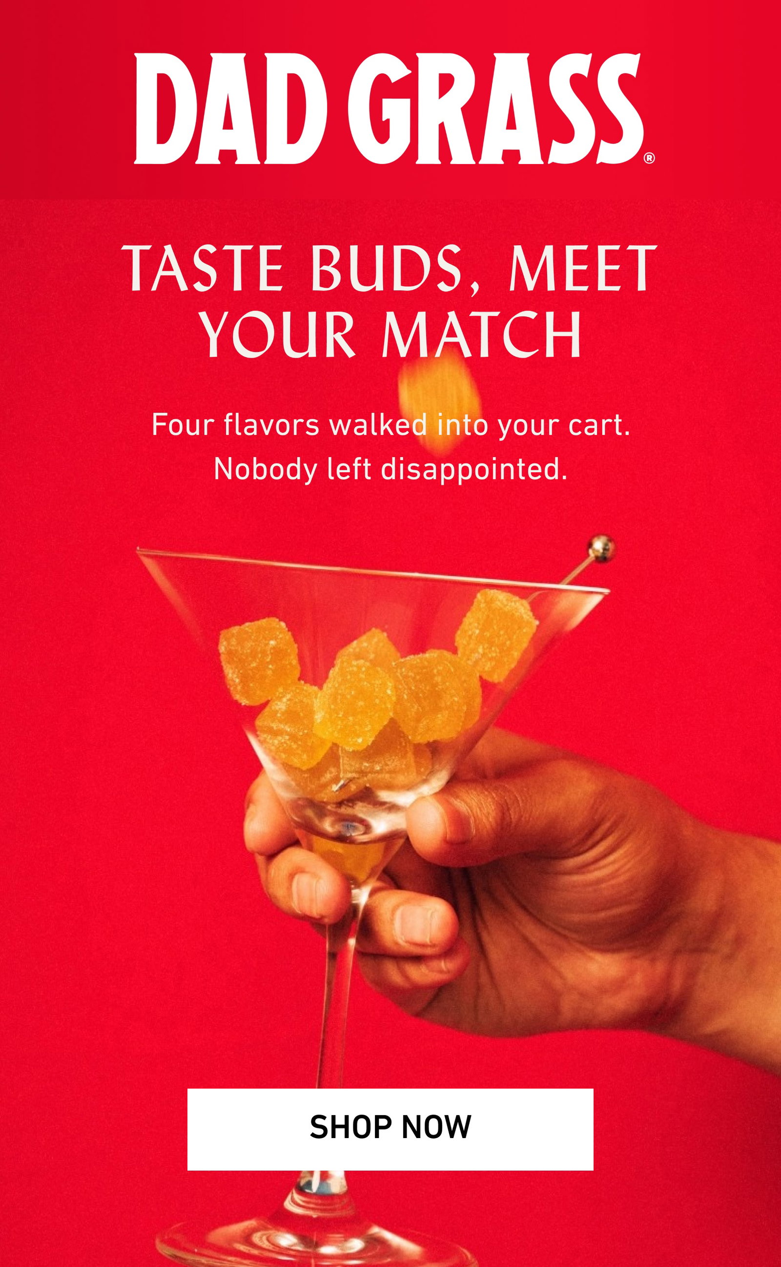 DAD GRASS | TASTE BUDS, MEET YOUR MATCH