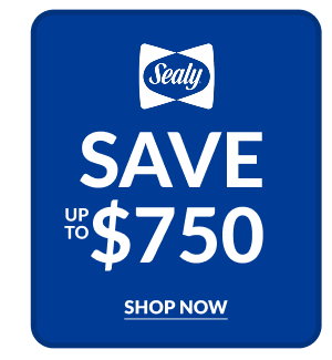 Sealy