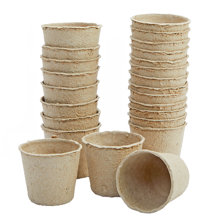 Decorate Your Own Seeds Pots - Set of 24