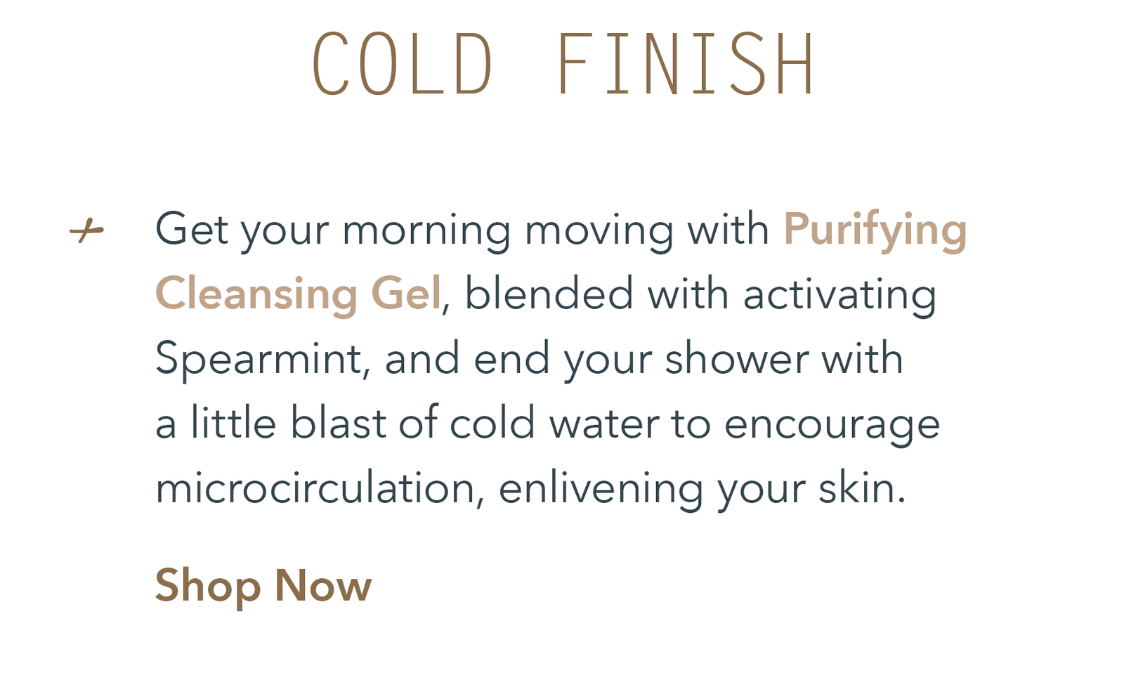 Purifying Cleansing Gel