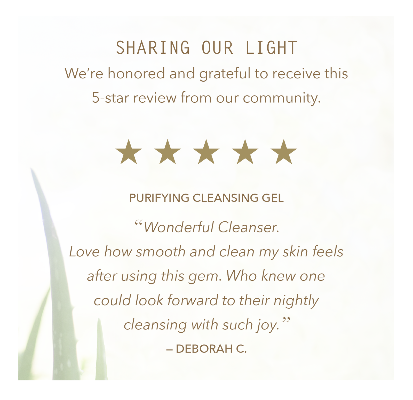 Purifying Cleansing Gel