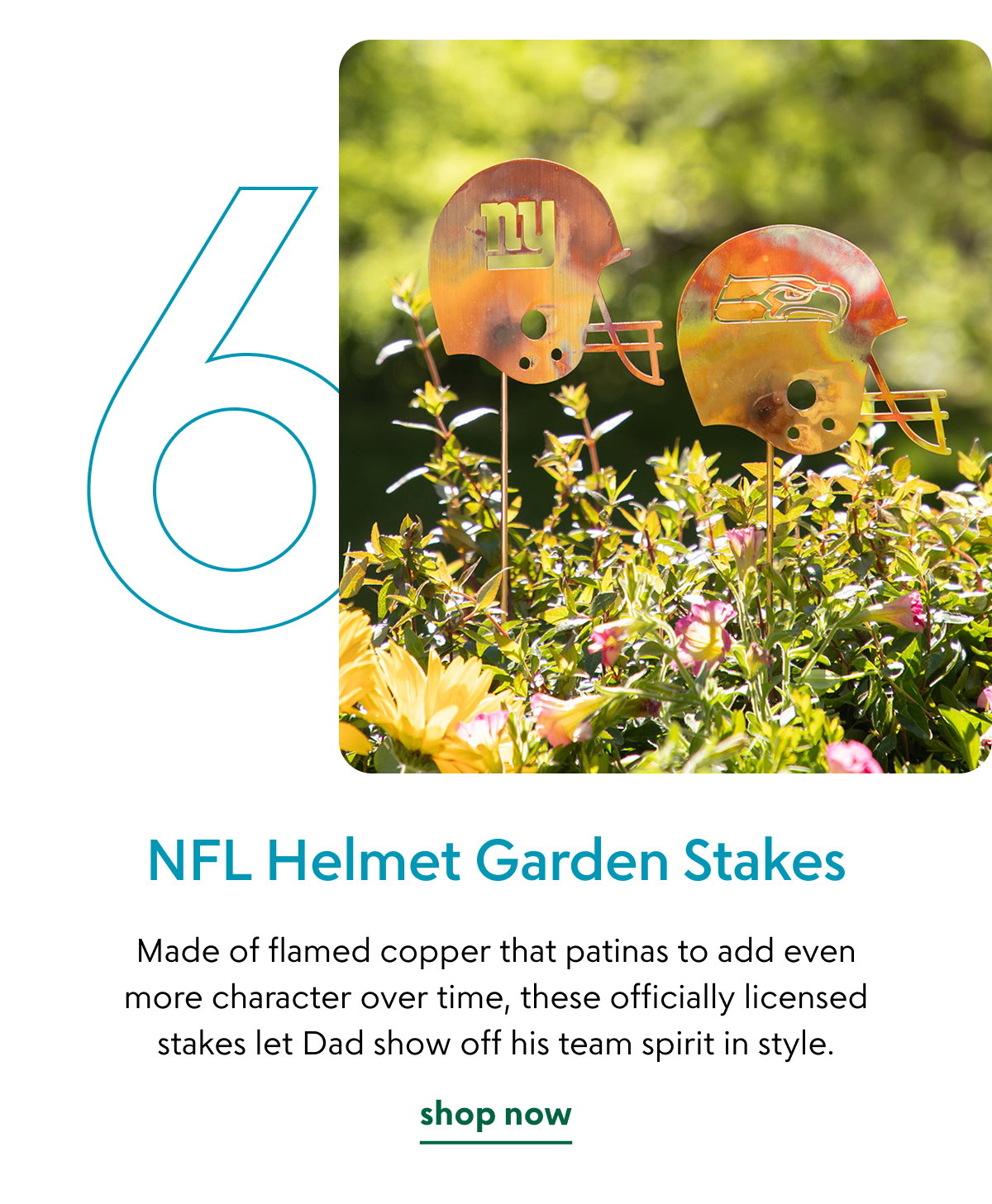 nfl-helmet-garden-stakes