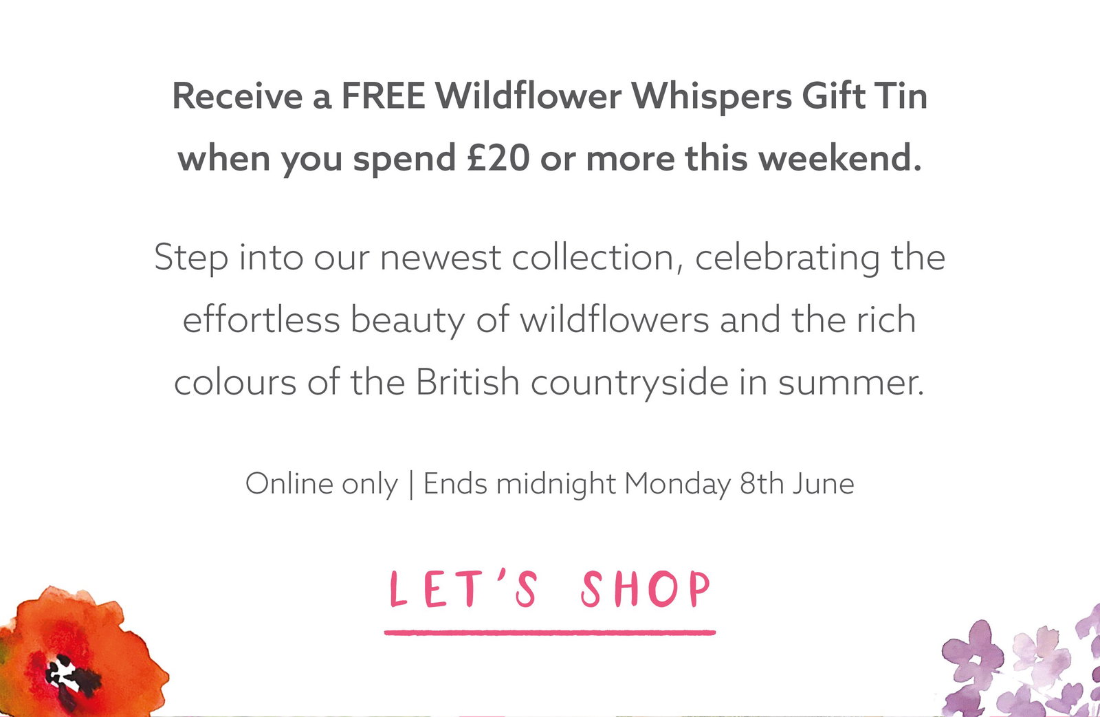 Promotional banner featuring the Wildflower Whispers collection with a free gift tin offer when spending £20 or more sitewide.
