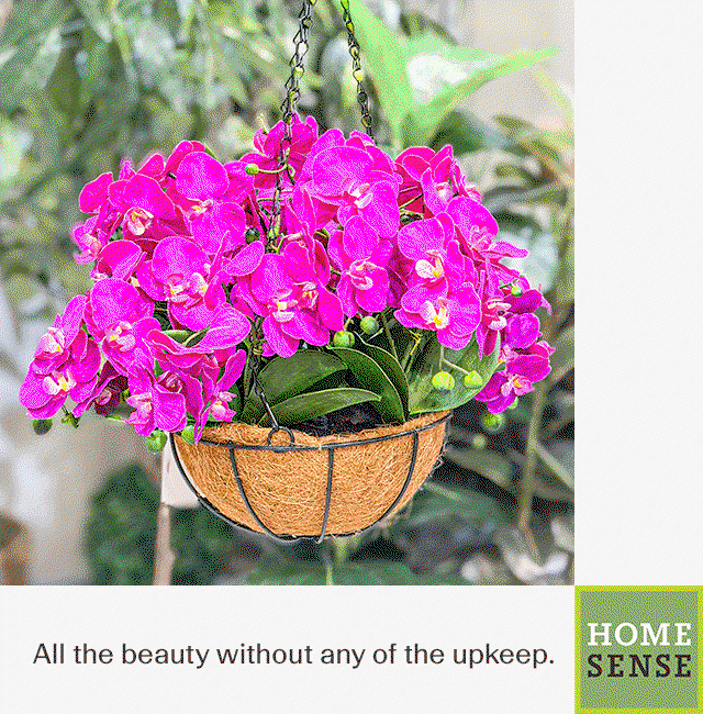 Visit Homesense today!