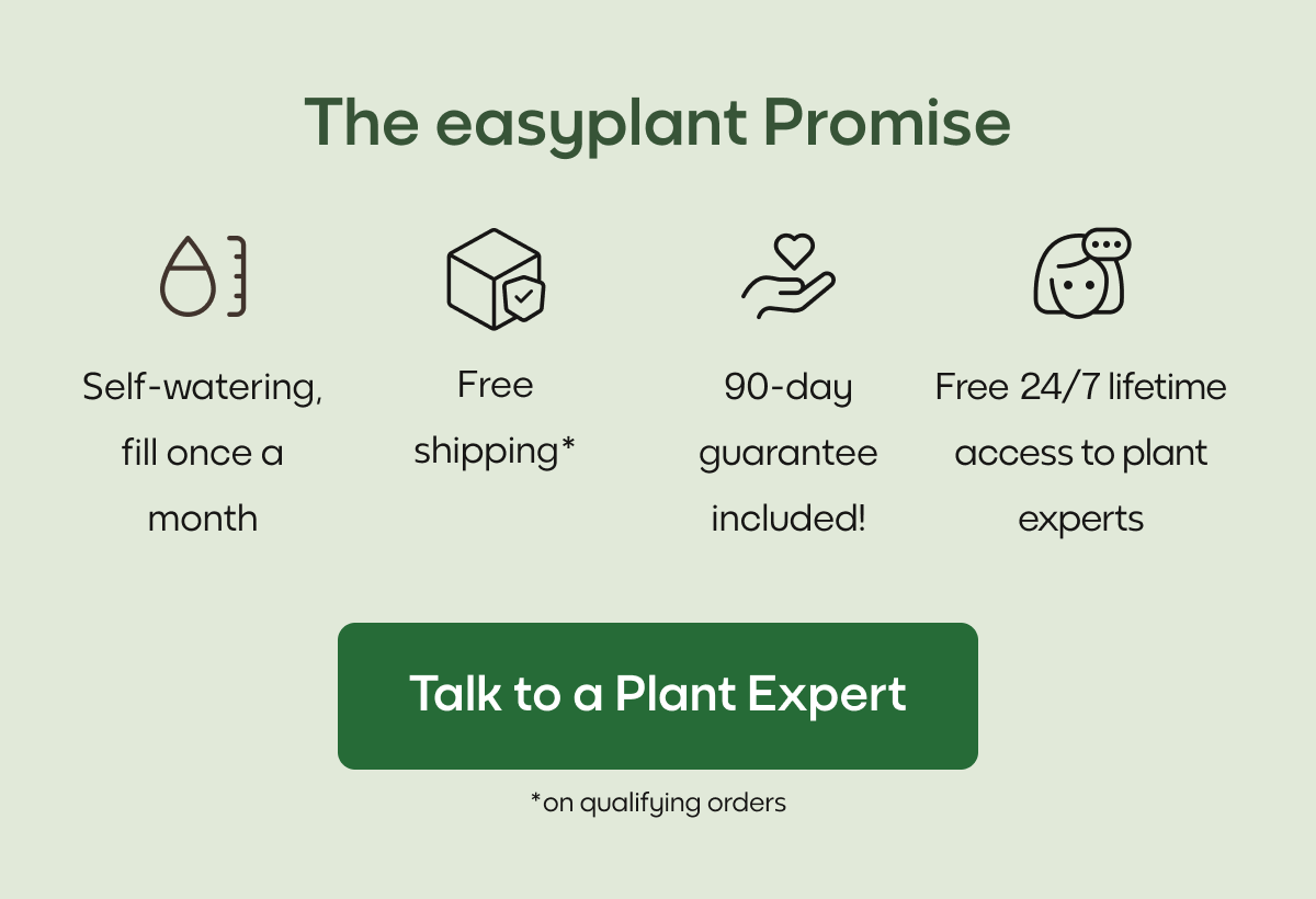 The easyplant Promise