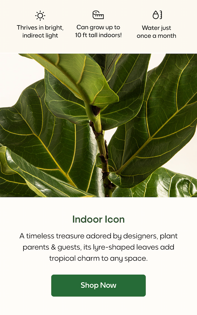Indoor Icon