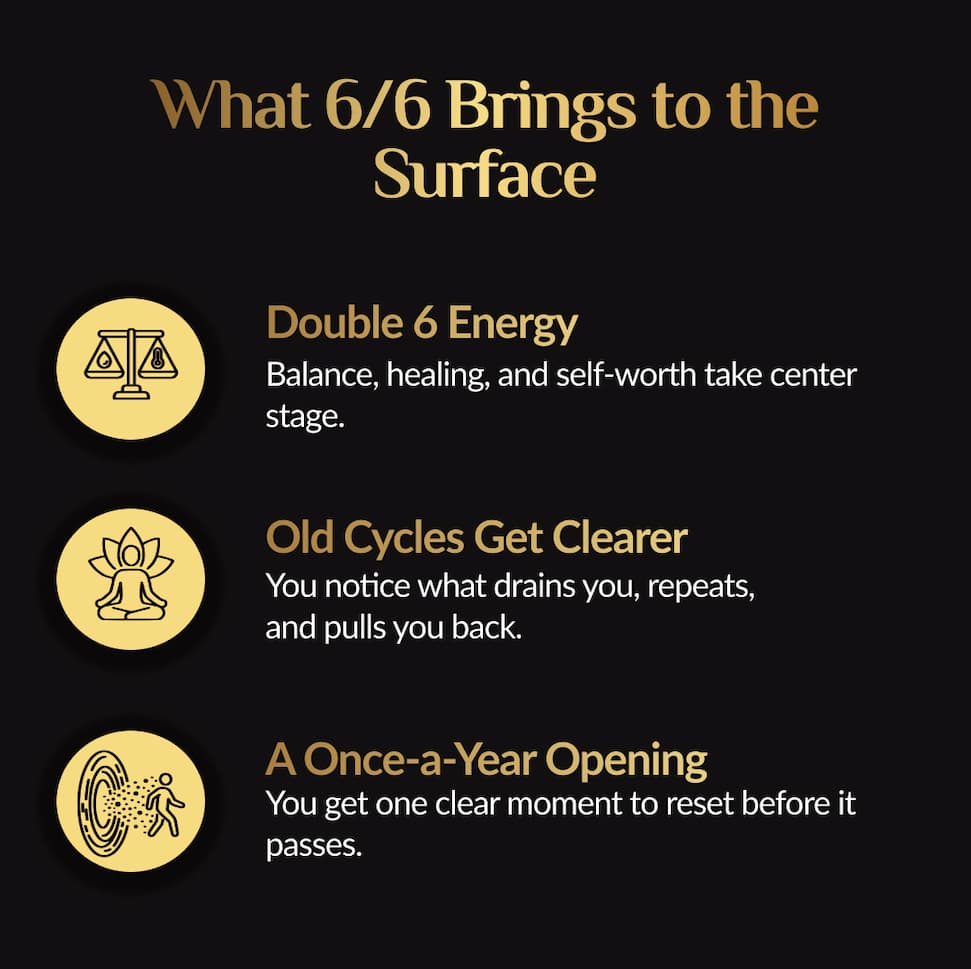 What 6/6 Brings to the Surface