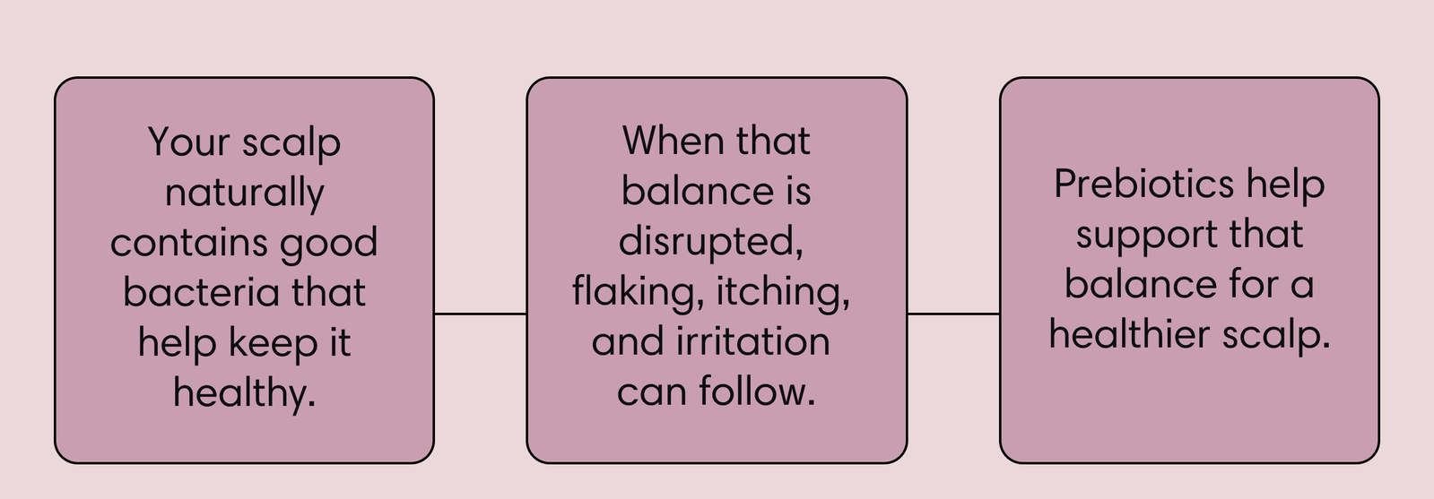 Three connected boxes explaining how prebiotics work: your scalp naturally contains good bacteria that help keep it healthy; when that balance is disrupted, flaking, itching, and irritation can follow; prebiotics help support that balance for a healthier scalp.
