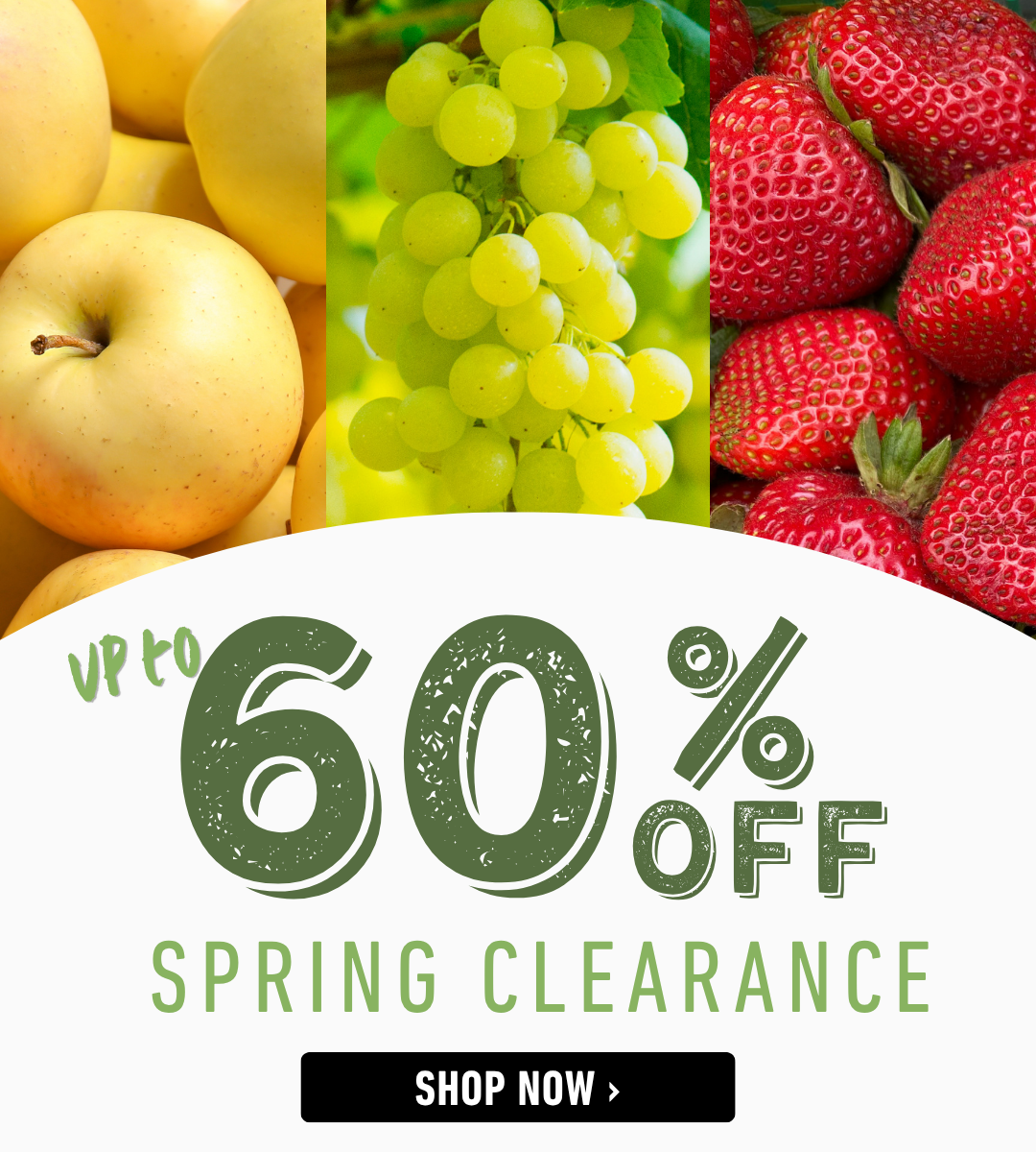 Spring Clearance Sale Banner