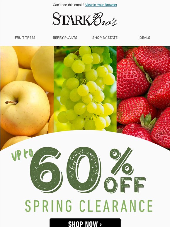 🍏 Spring Clearance