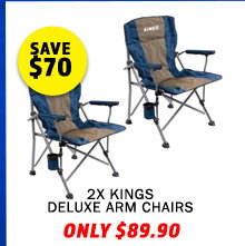 2 x Deluxe Arm Chair