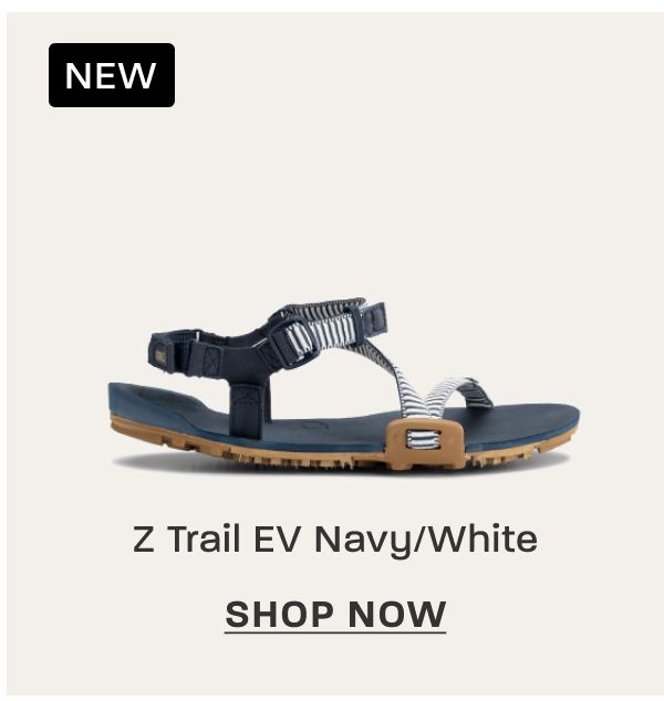 Z Trail EV