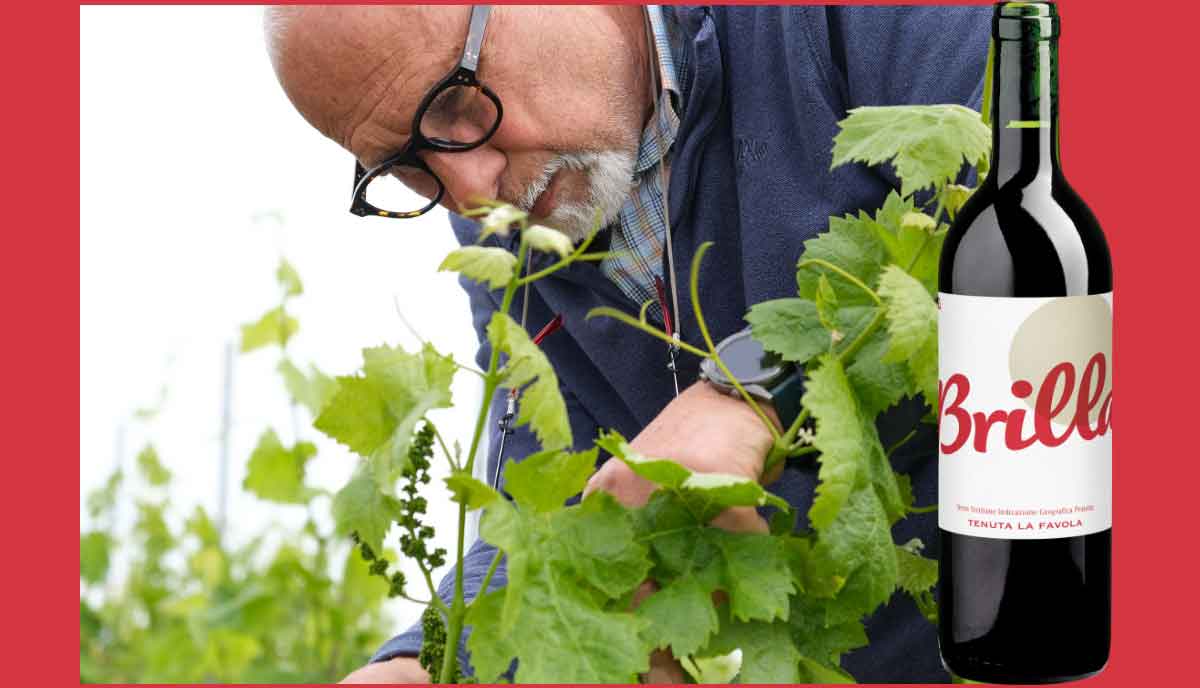 Geheimtipp aus dem Weinabo
