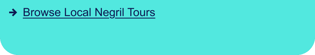 Or View Negril Area Local Tours'