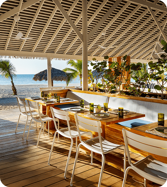 Savor 13 Restaurants & 5 Bars