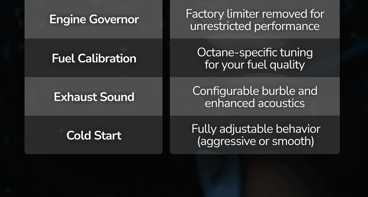 Engine Governor | Factory limiter removed for unrestricted performance