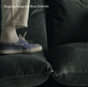 Sopping Seagrass Blue Chenille