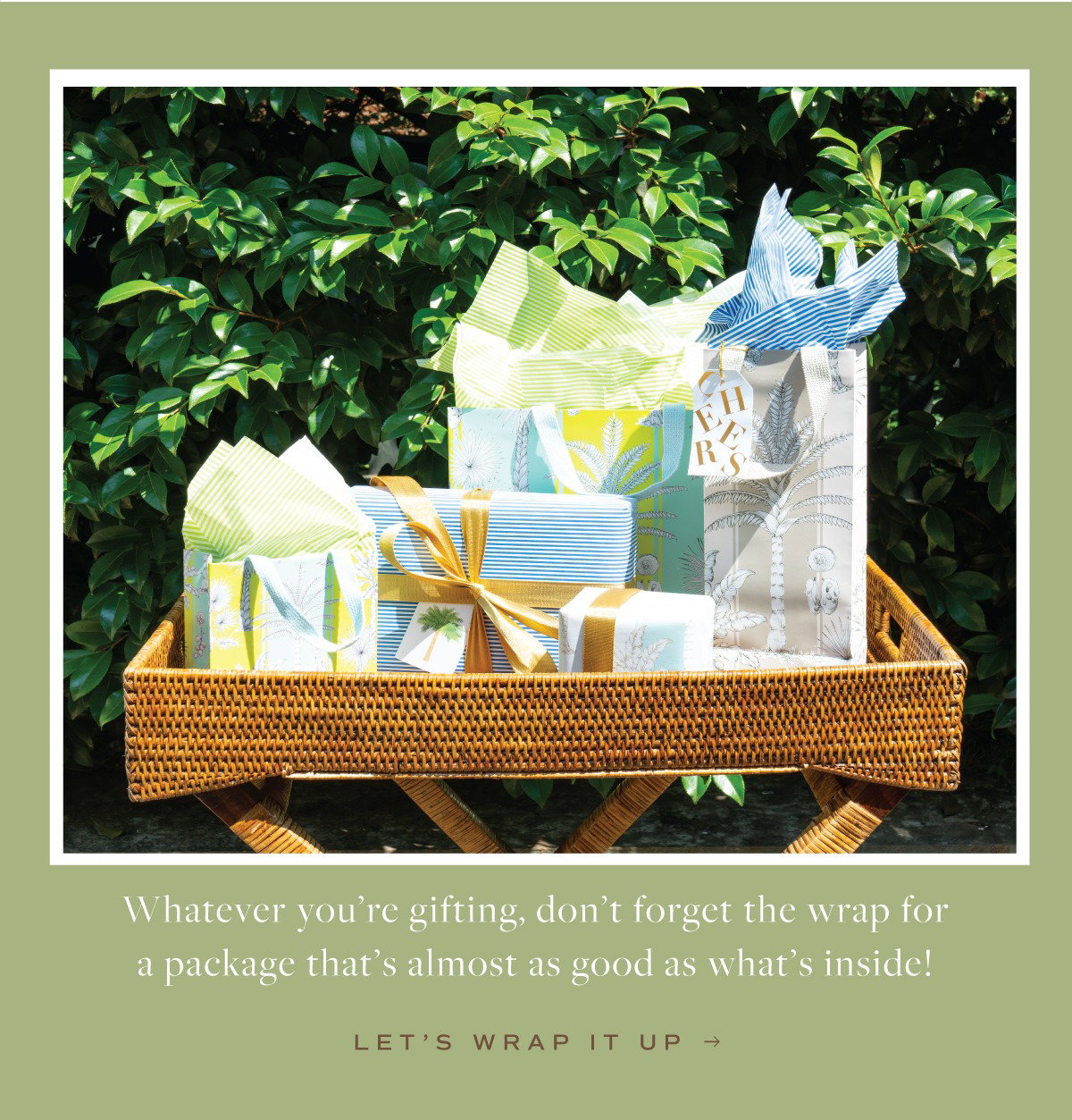 Explore Gift Wrap & Bags