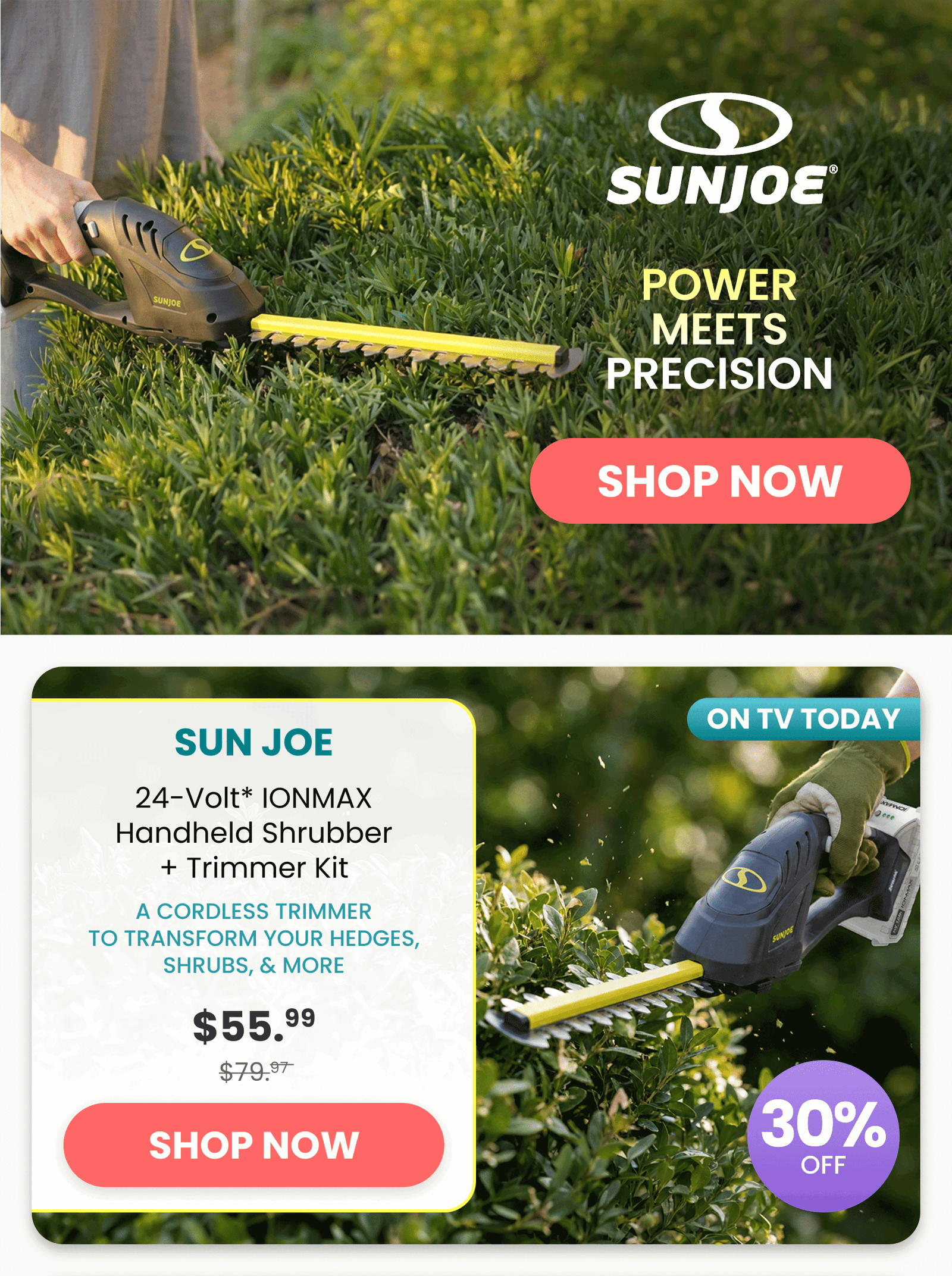 Sun Joe 24-Volt* IONMAX Handheld Shrubber + Trimmer Kit/A cordless trimmer to transform your hedges, shrubs, & more