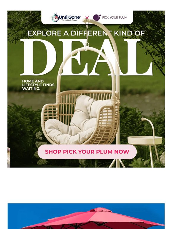 7 days of top PickYourPlum finds