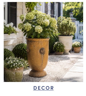 Shop Decor