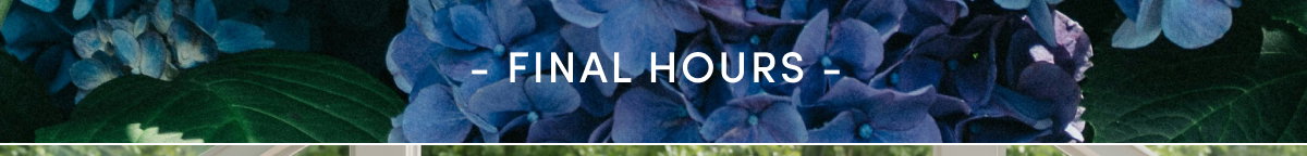 Up to 30% Off Sitewide