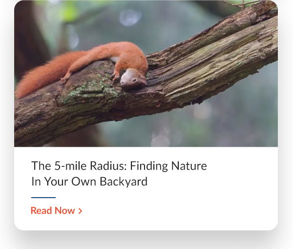 The 5-mile Radius: Finding Nature In Your Own Backyard