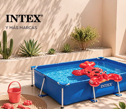Intex