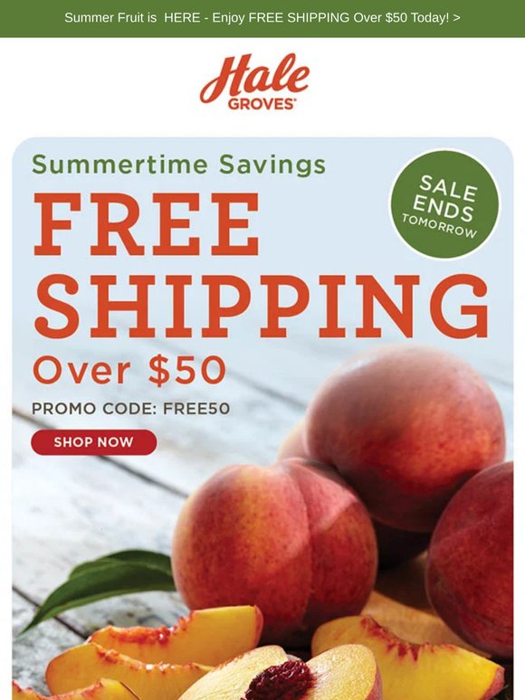 Ends Tomorrow! FREE Shipping Over $50