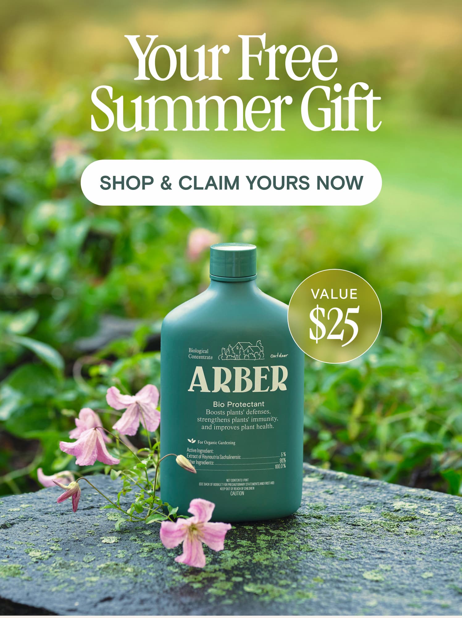 Your Free Summer Gift