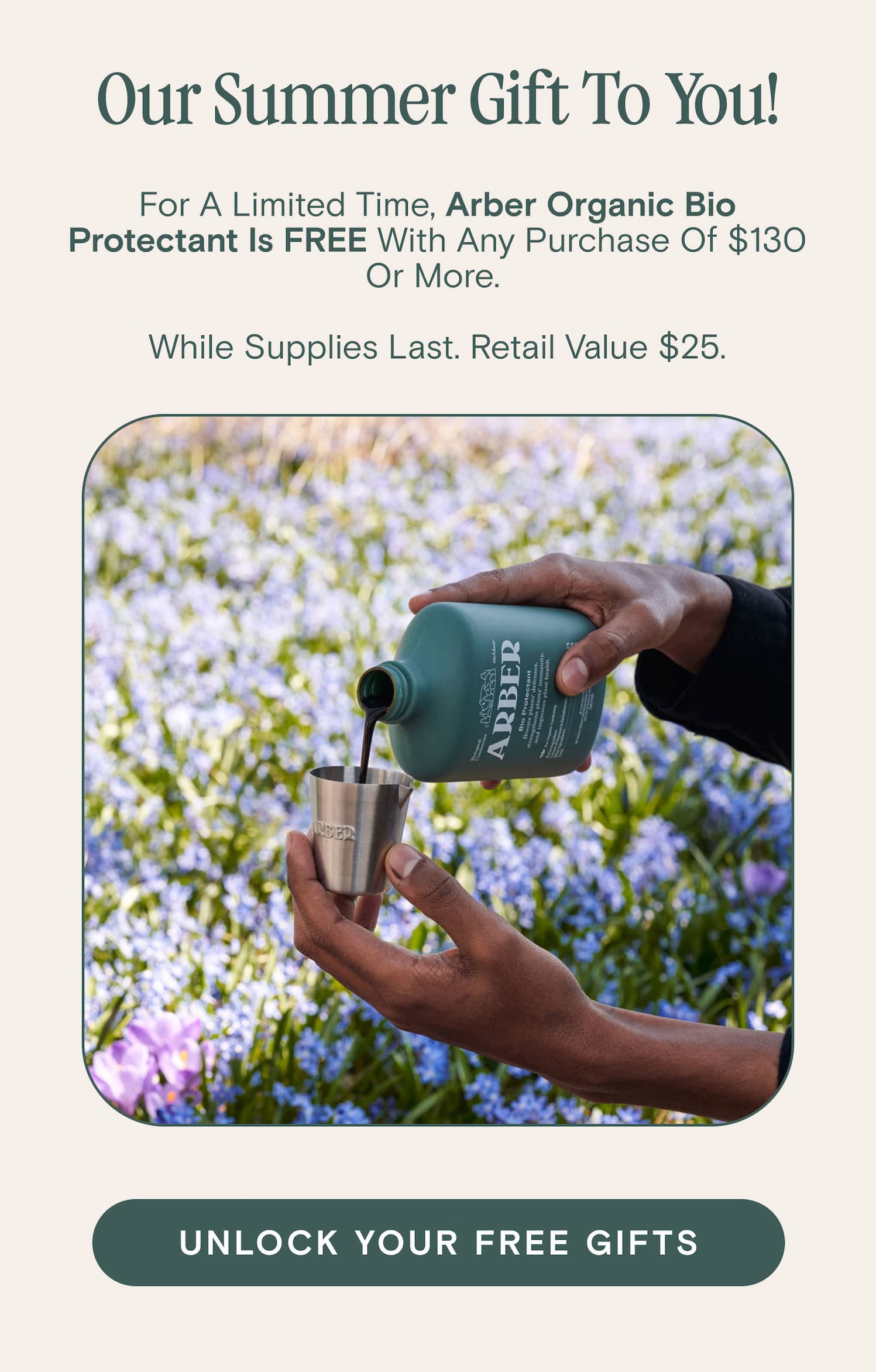 Our Summer Gift To You!