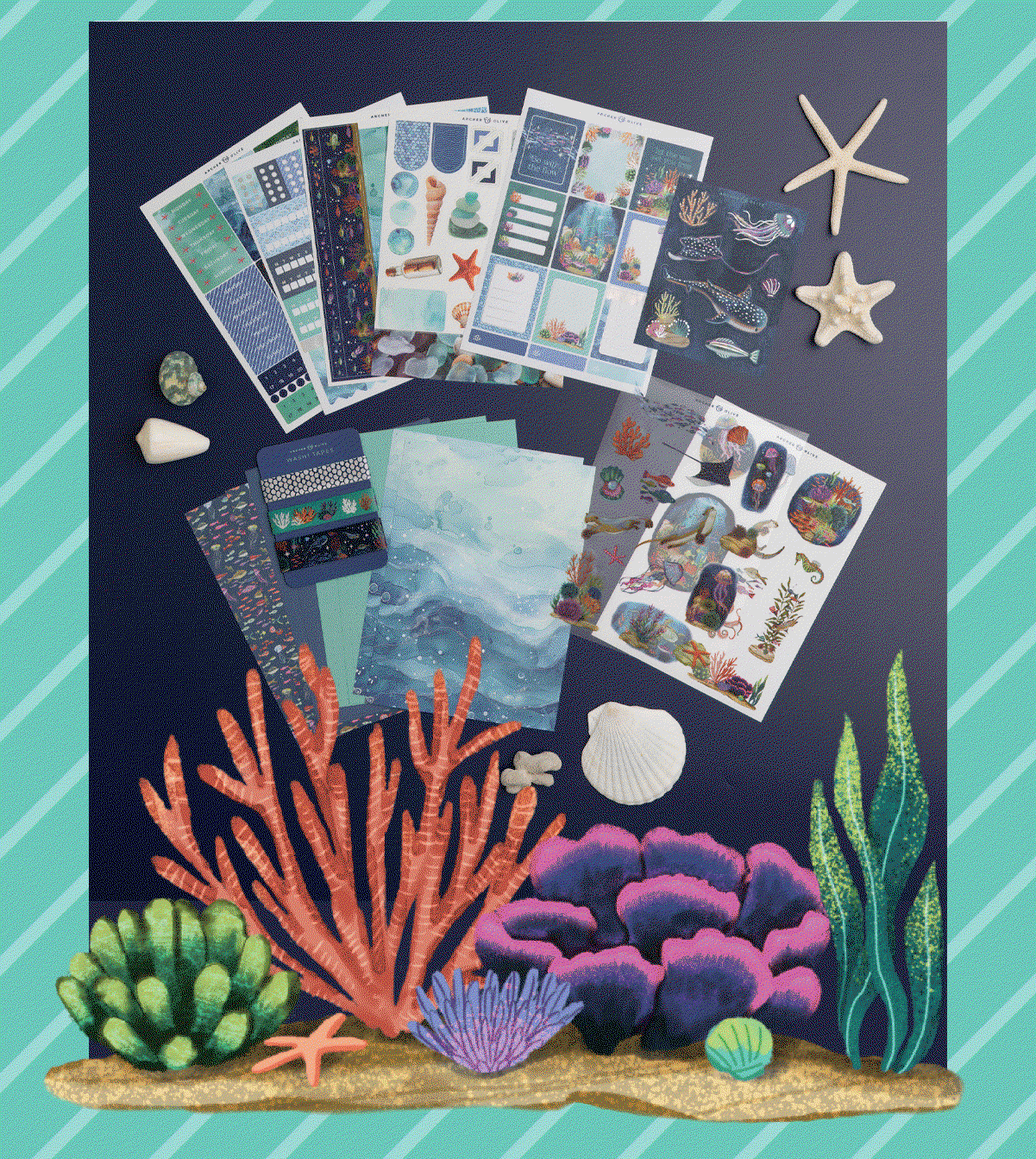 Coral Cove Kit Club