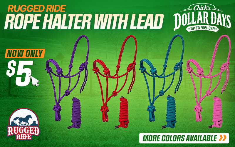 Rugged Ride Rope Halter with Lead $5 - Dollar Days Deals
