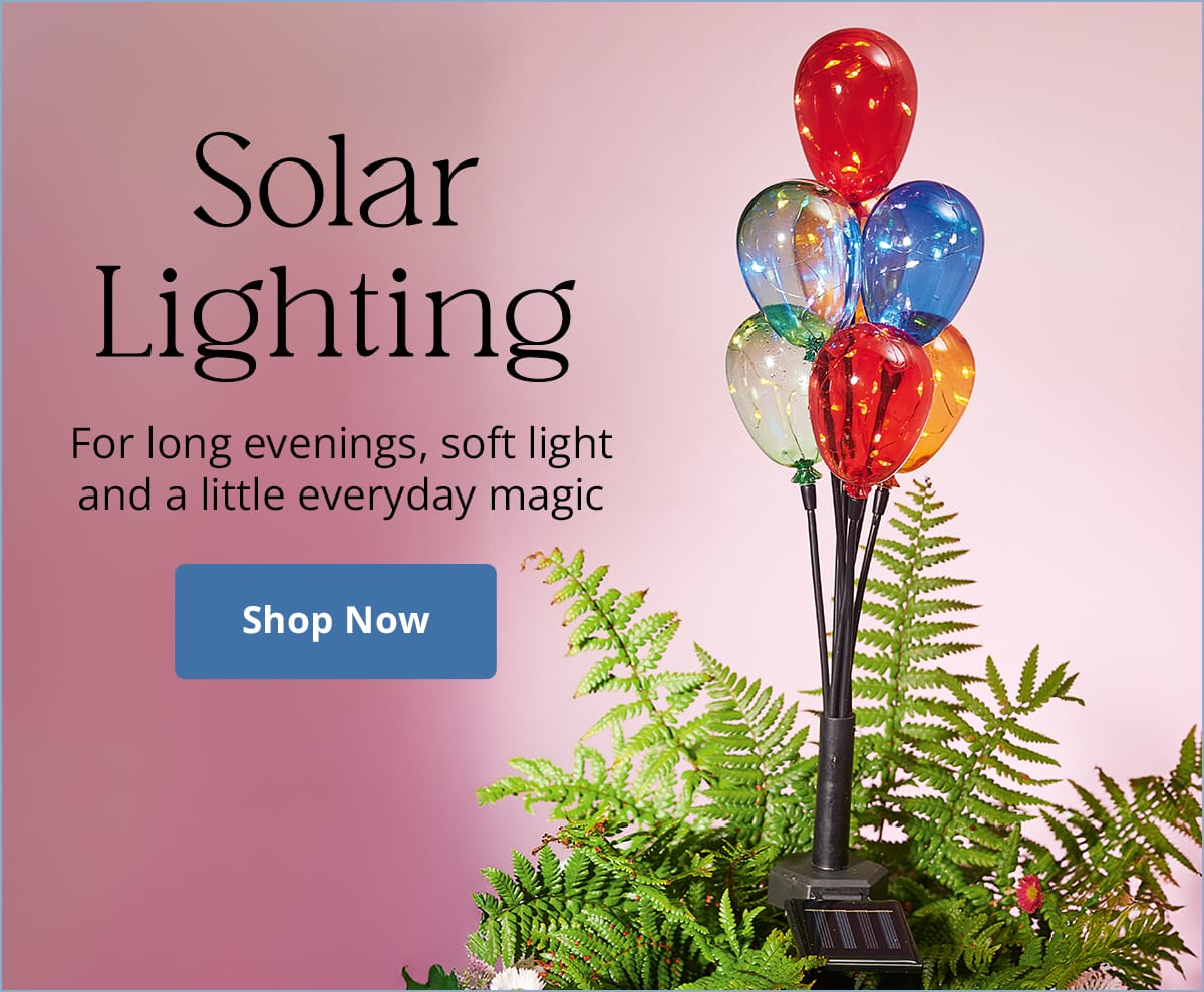 Solar Lighting For long evenings, soft light and a little everyday magic Shop Now 